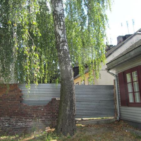 Zniszczony mur i drzewo na placu budowy