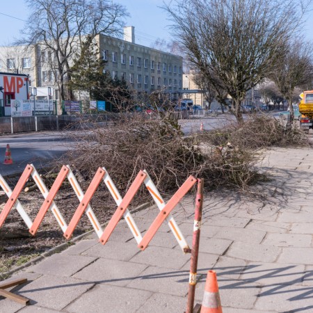 Wycinka drzew przy ul. Długiej - 18.02.2018 r.