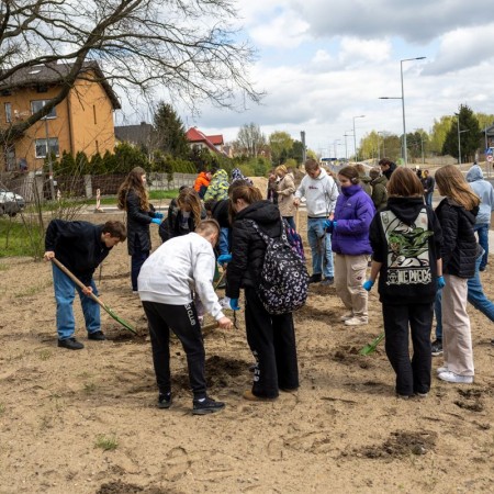 uczniowie szkoły podstawowej numer 10 sadzą drzewa przy ulicy Proboszczewice