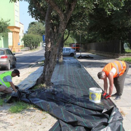 Prace przy ulicy Cezaka (od ul. Długiej do ul. Dubois)