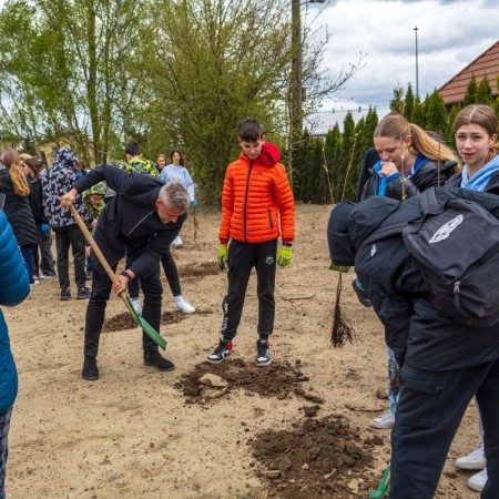 uczniowie szkoły podstawowej numer 10 sadzą drzewa przy ulicy Proboszczewice