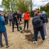 Prezydent Miasta Zgierza i uczniowie szkoły podstawowej nr 10 sadzą drzewa