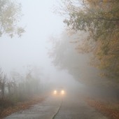 mgła