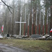 Zdjęcie pomnika w Lesie Lućmierskim