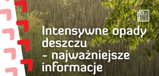 grafika
