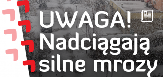 silne mrozy 