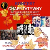 Plakat promujący koncert