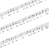 baner