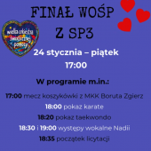 Finał WOŚP z SP3