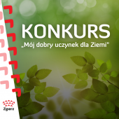 grafika