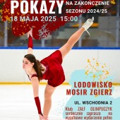 Pokazy łyżwiarstwa figurowego