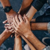 Bezpłatne szkolenie dla NGO