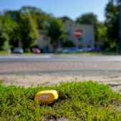 Geofon - czujnik rejestrujący fale sejsmiczne