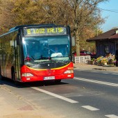 autobus linii 6