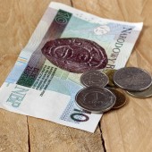 pieniądze złotówki - fot. pixabay.com (domena publiczna)