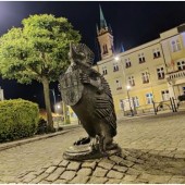 pomnik jeża przed budynkiem Urzędu Miasta Zgierza nocą