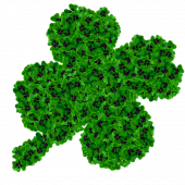 zielona koniczyna - grafika pixabay.com (domena publiczna)