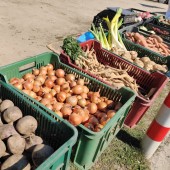 Warzywa do sprzedaży