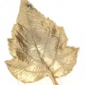 Złoty liść